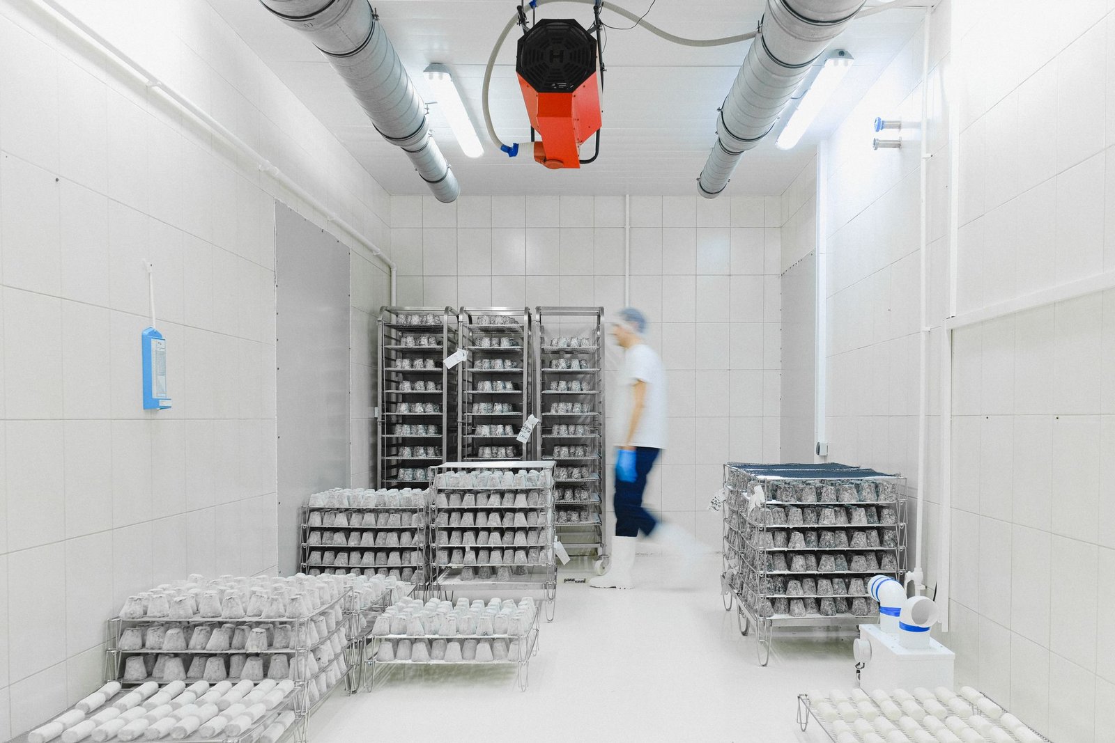 Cold Rooms & Cold Storage